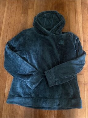 The North Face Plush Hoodie - Deep Teal Green